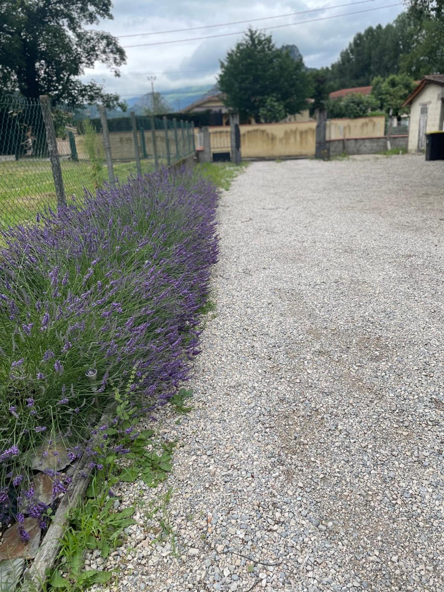 Appartement A Tarascon Sur Ariege Le Sabart Dış mekan fotoğraf